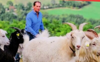 Il sentiero del pastore