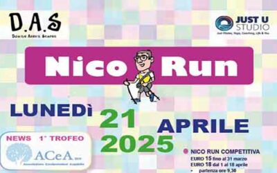 Nico Run 2025