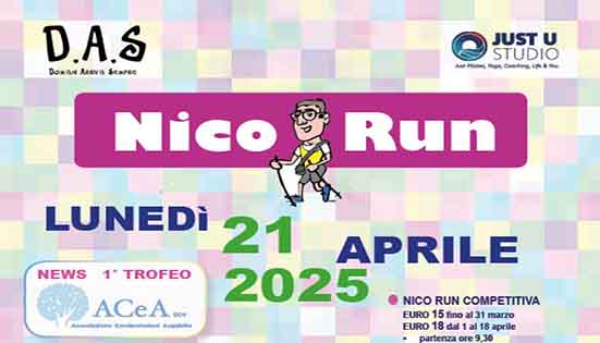 Nico Run 2025