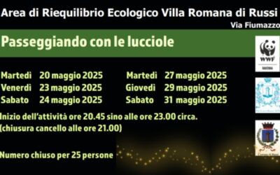 Passeggiate con le lucciole