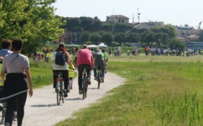 Bicincittà & Bimbimbici