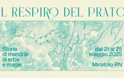 Il respiro del prato