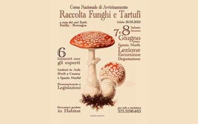 Raccolta funghi e tartufi