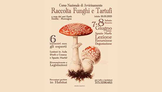 Raccolta funghi e tartufi