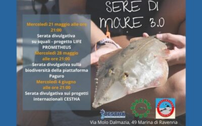 Sere di mare