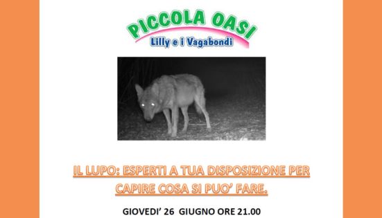 Il lupo: una chiacchierata con gli esperti