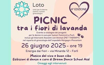 Picnic tra i fiori di lavanda