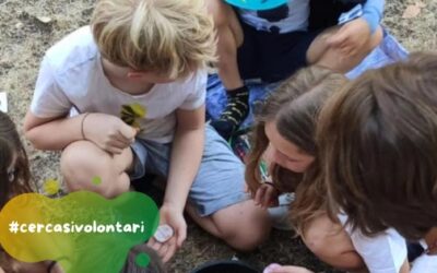 Aiutanti magici cercasi