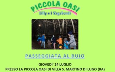 Passeggiata al buio
