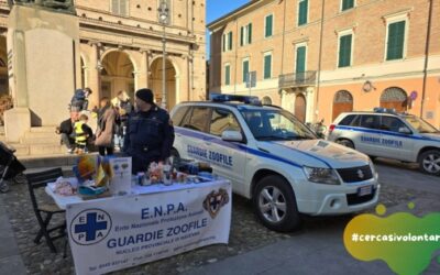 Guardie zoofile volontarie: il momento è adesso