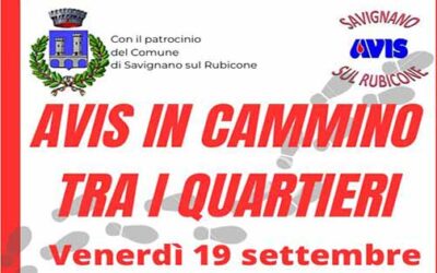 Avis in cammino tra i quartieri