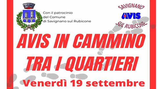 Avis in cammino tra i quartieri