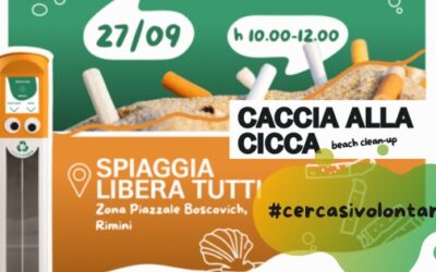 Caccia alla cicca