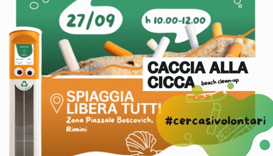 Caccia alla cicca