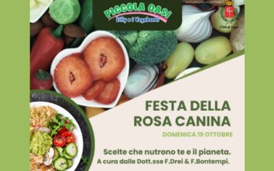 Festa della rosa canina