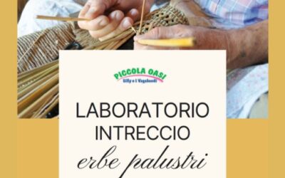 Laboratori di intreccio