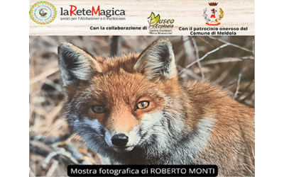 NATURAL-Mente con La Rete Magica ODV