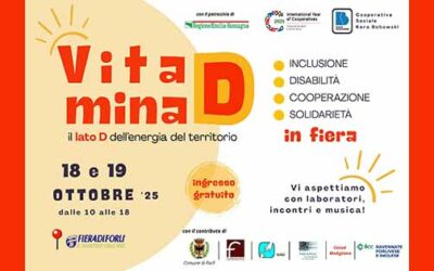 Vitamina D – il lato D dell’energia del territorio