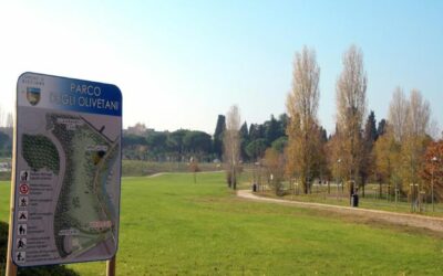 Camminate con Alzheimer Rimini