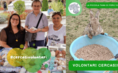 La piccola tana cerca volontari