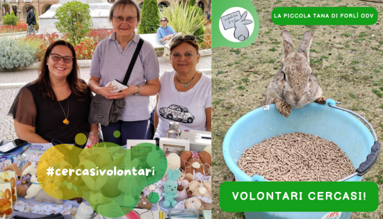 Volontari per La piccola tana