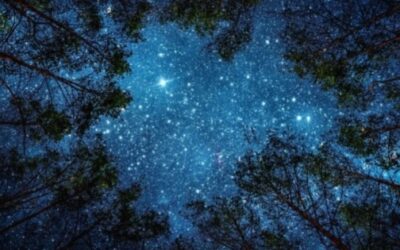 Racconti di stelle