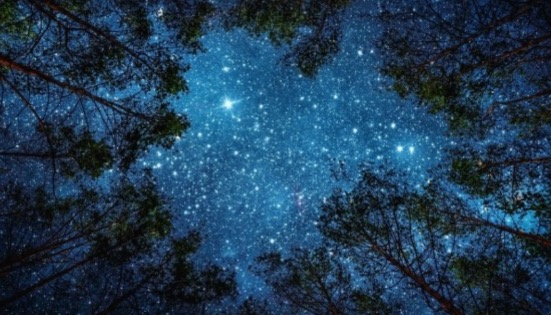 Racconti di stelle