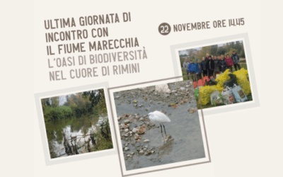Per il fiume Marecchia