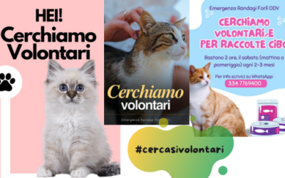 Diventare volontari: un’esperienza che riempie la vita