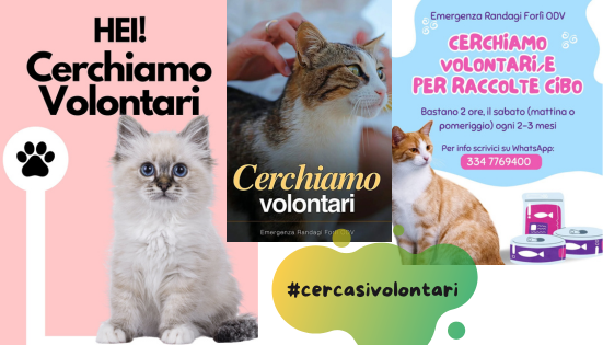 Diventare volontari: un’esperienza che riempie la vita