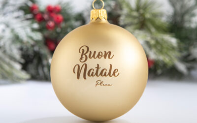 Il Natale di Menecor
