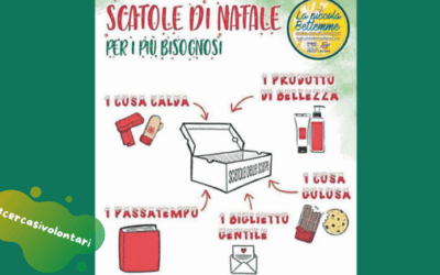 Scatole di Natale a Faenza