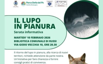 Serata informativa “Il lupo in pianura”