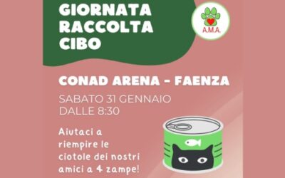 Raccolta cibo per animali
