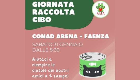 Raccolta cibo per animali