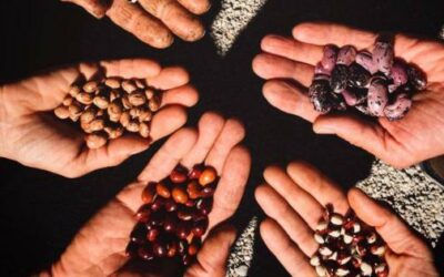 Biodiversità e agricoltura
