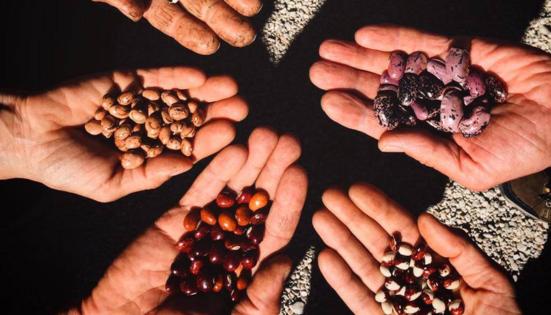 Biodiversità e agricoltura