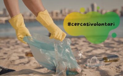 Insieme per il mare