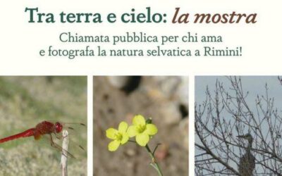 Tra terra e cielo