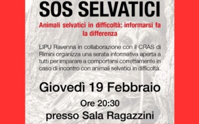 “Sos selvatici”: una serata informativa