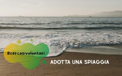 Adotta una spiaggia 2026