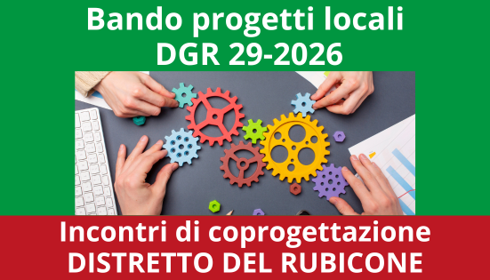 Incontri di coprogettazione distretto Rubicone – 2026