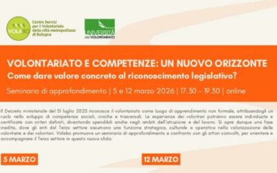 Volontariato e competenze