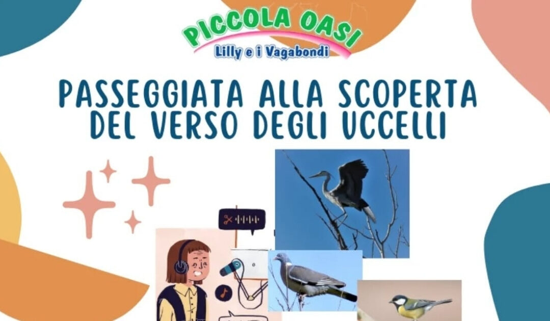 Alla scoperta del verso degli uccelli