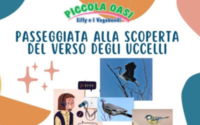 Alla scoperta del verso degli uccelli