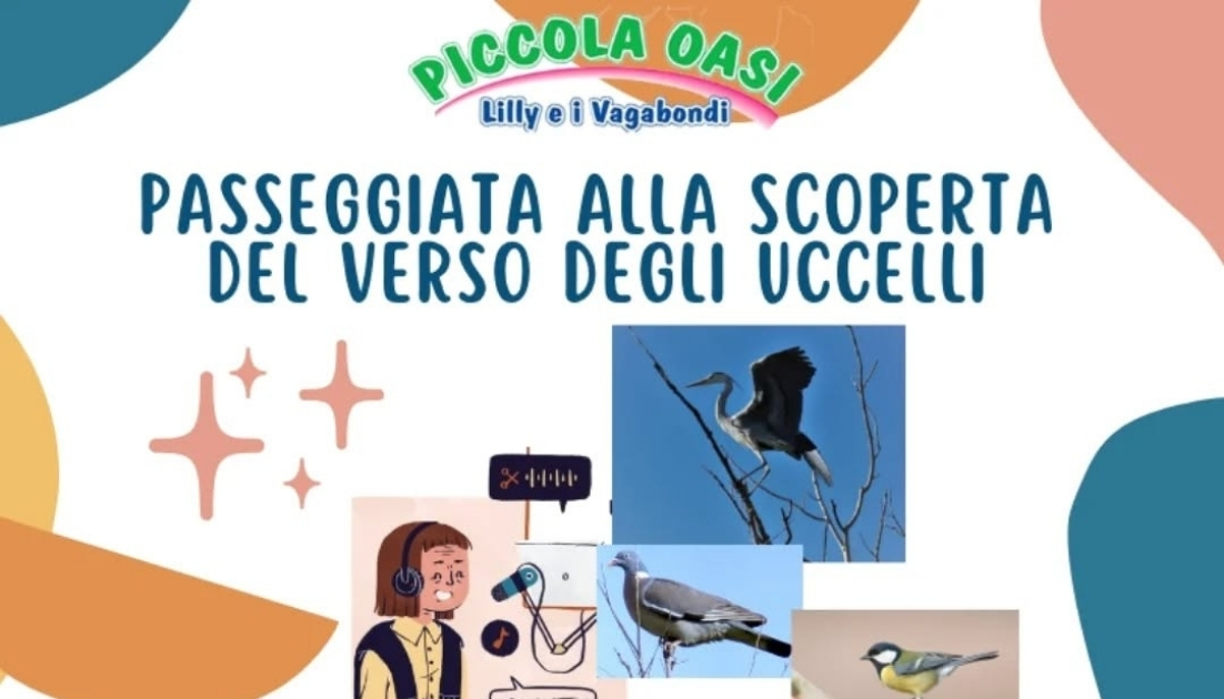 Articolo passeggiata uccelli Evento a Lugo.
