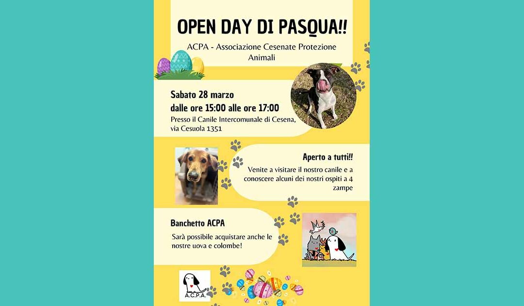 Open Day di Pasqua al Canile Intercomunale di Cesena