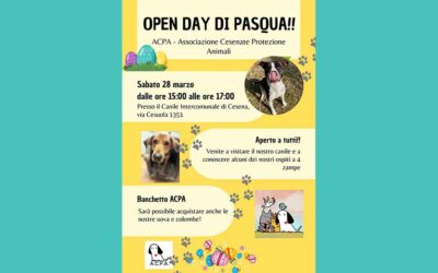 Open Day di Pasqua al Canile Intercomunale di Cesena