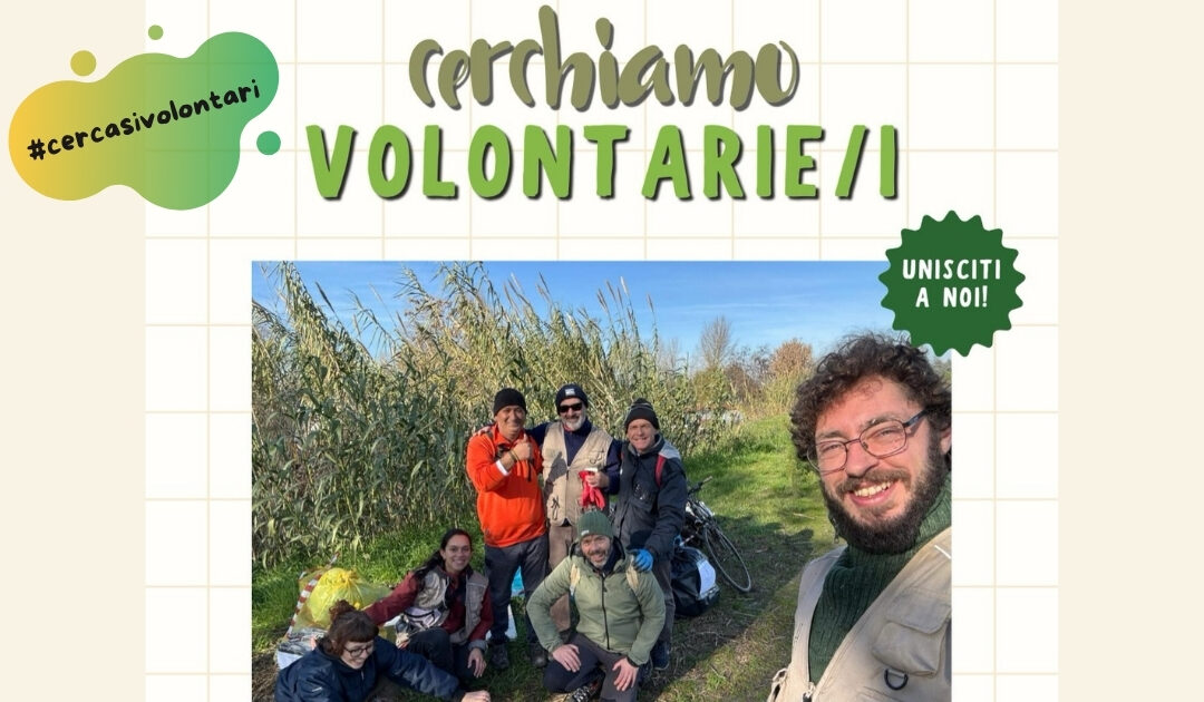 Non bisogna essere supereroi