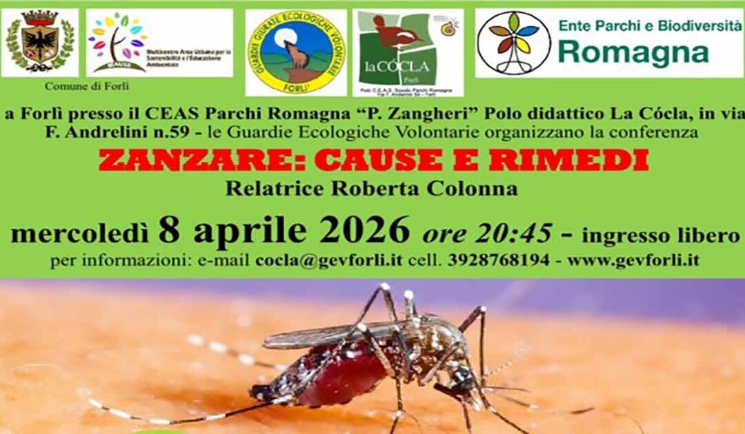 Zanzare: cause e rimedi